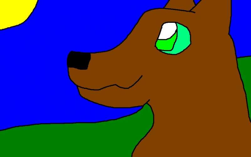 a wolf