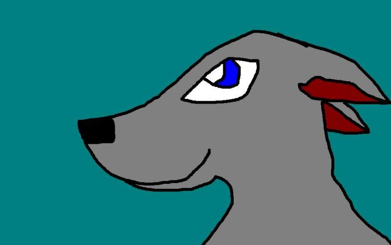 wolf