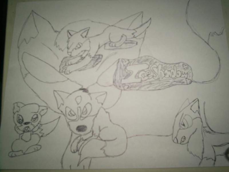 ^^i drew it on paper!