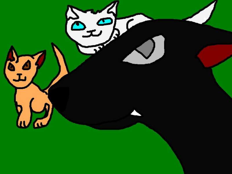 Kirada, Iceshadow and Mossstar!