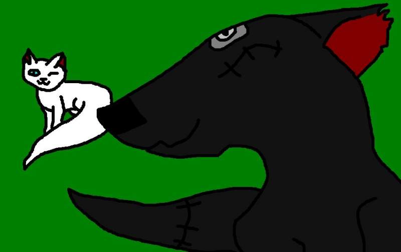 Stitchwolf and Iceshadow
