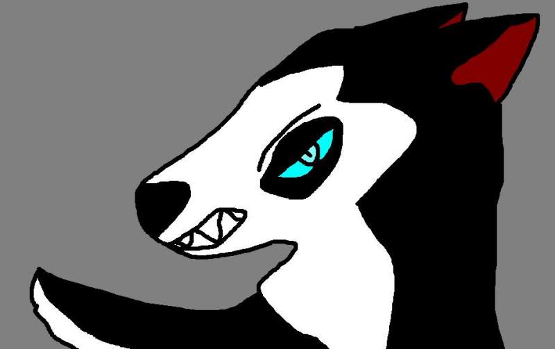 steele for contest