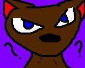 brown dog