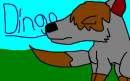 Dingo