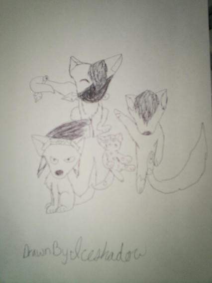 my lil sis requested this