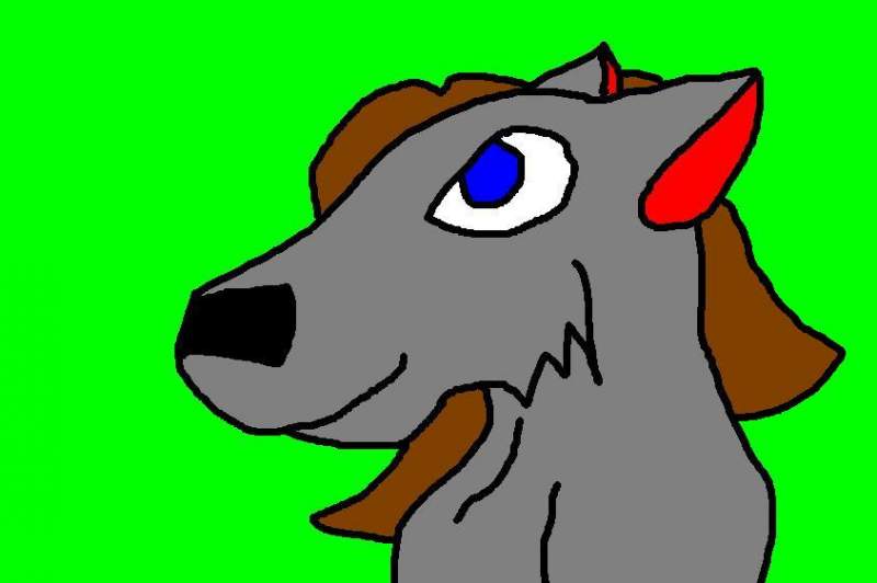 Its a dog with hair! X3
