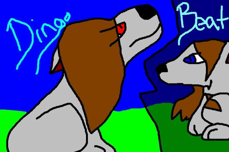 Dingo and Beat