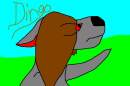 Dingo
