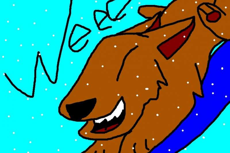 Sledding dog!