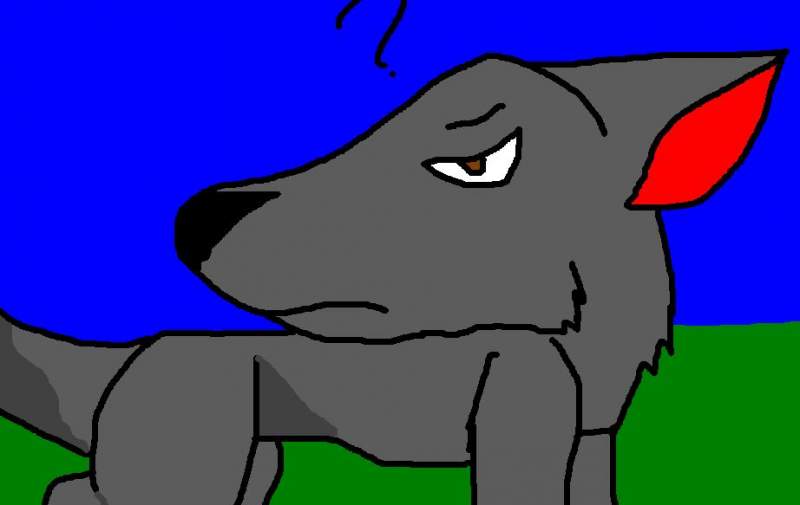 Wolfy!