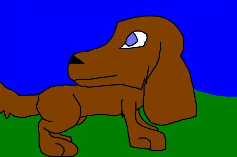 Doxon
