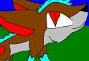 Torak