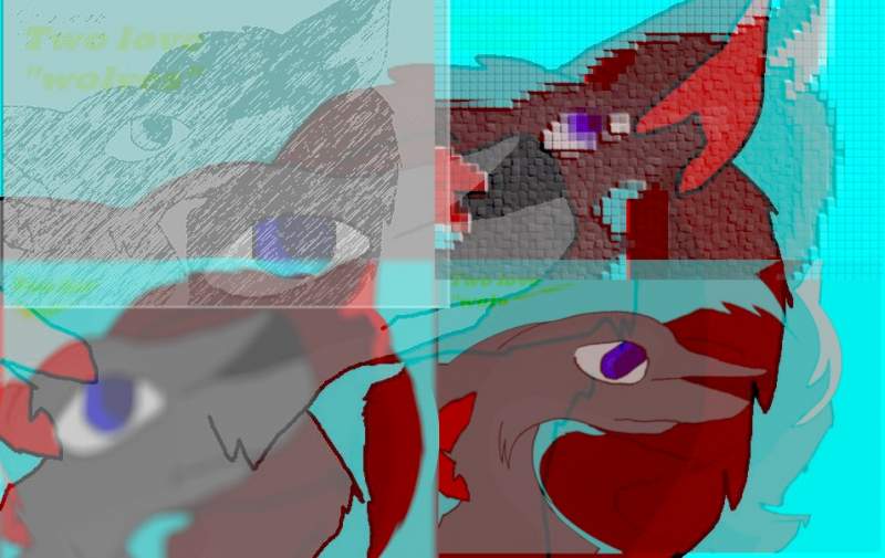 Two love wolves Transparency