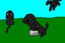 Cody, the  toy poodle