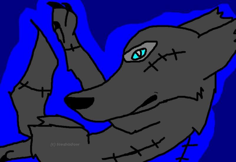Stitchwolf