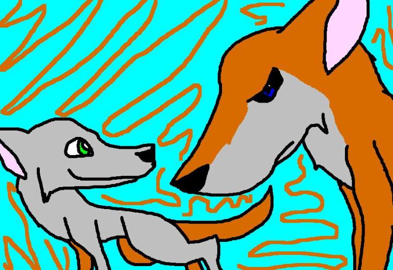 Two dogs