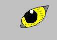 a wolves eye