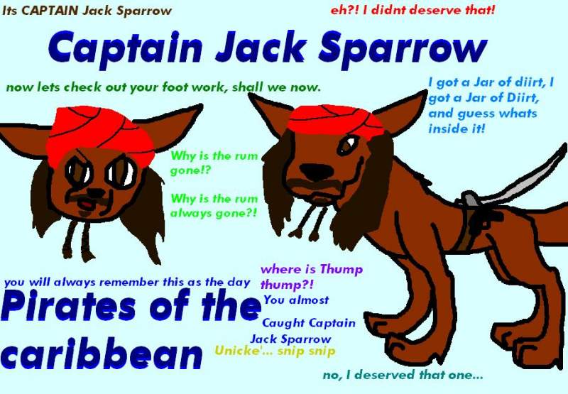 Captain Jack Sparrow