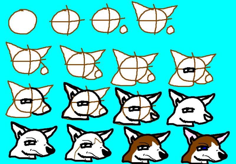 Step by step