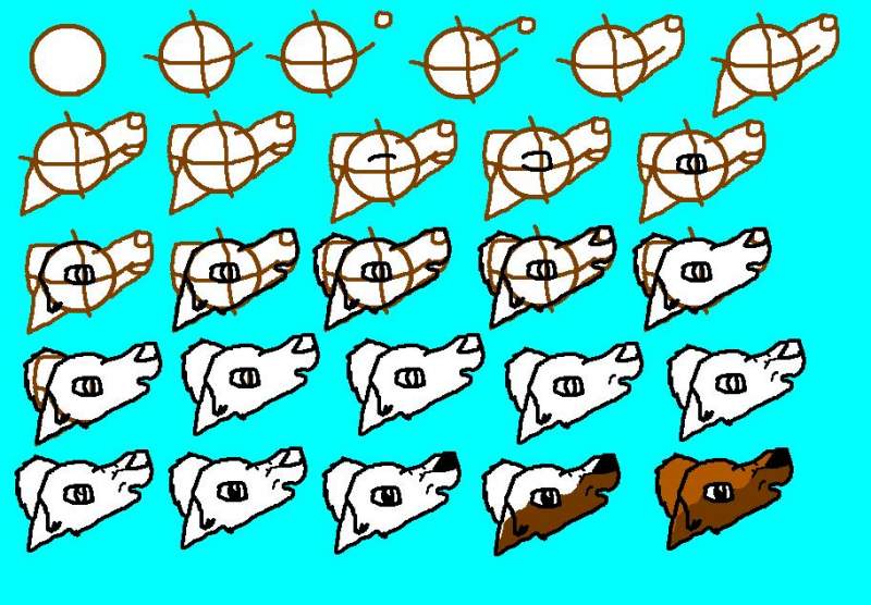 How to draw a surprised wolf