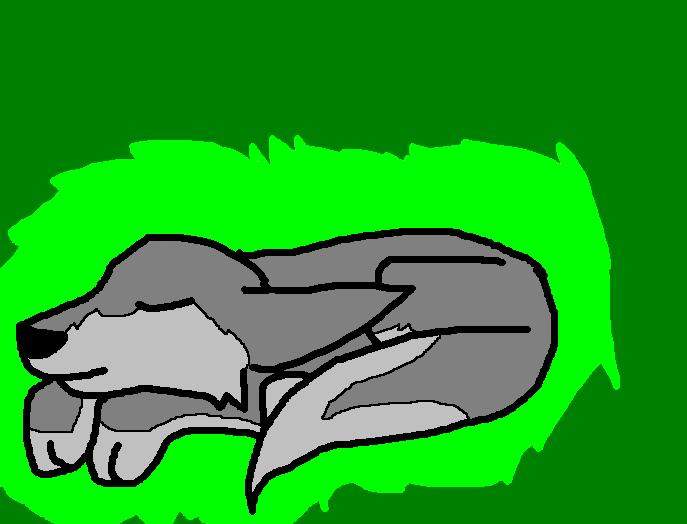 Wolf pup and MY background