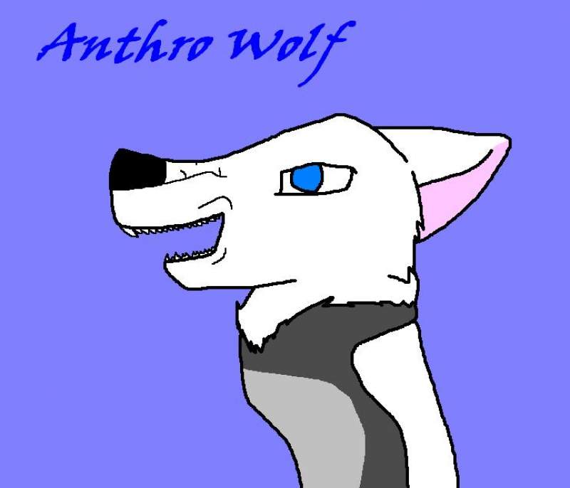 A messed up Anthro