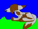 Wolf?