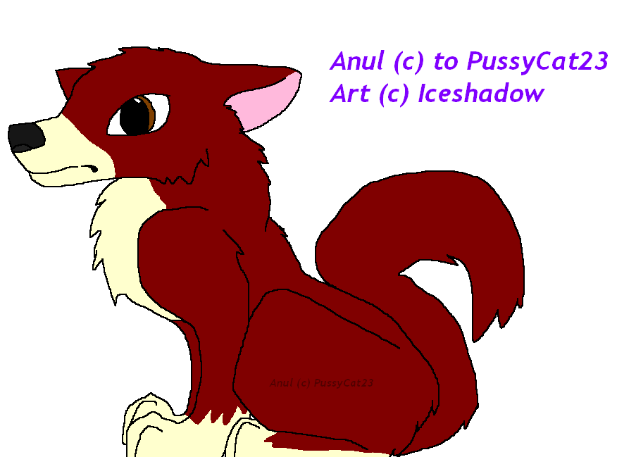 Anul