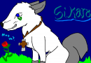 ♥ Sikaro ♥