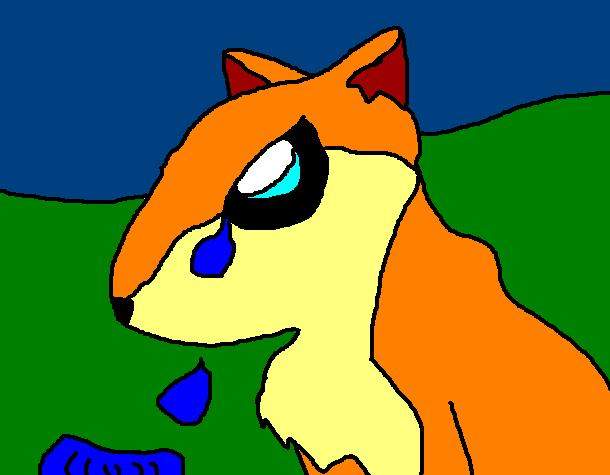 fox