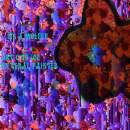 Wolfeh