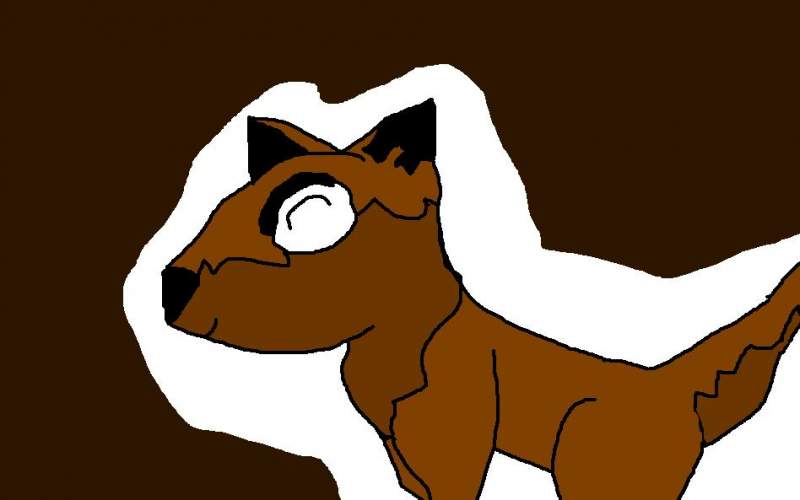 Brown wolf