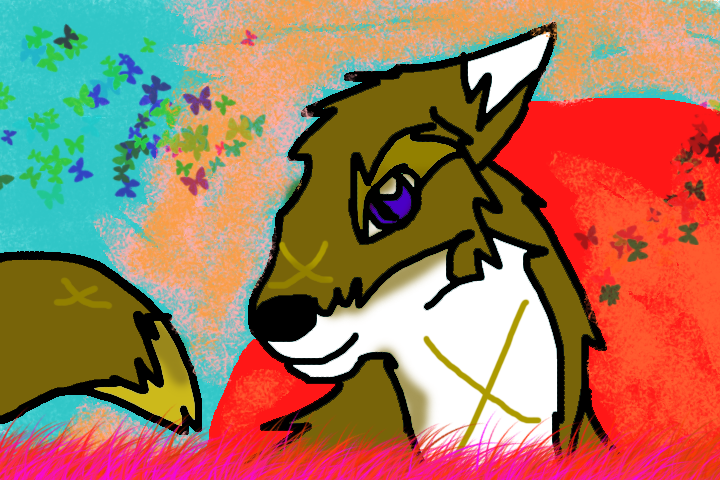 Wolf..