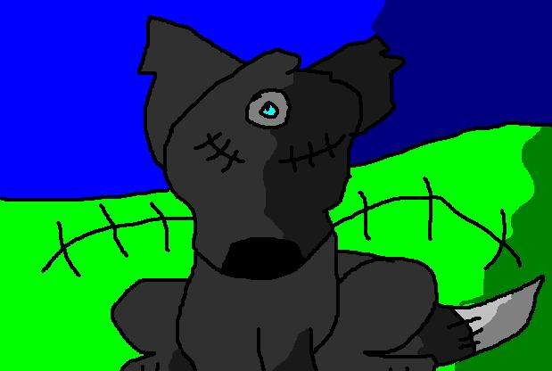 StitchWolf