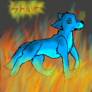 Shale Walks in Fire