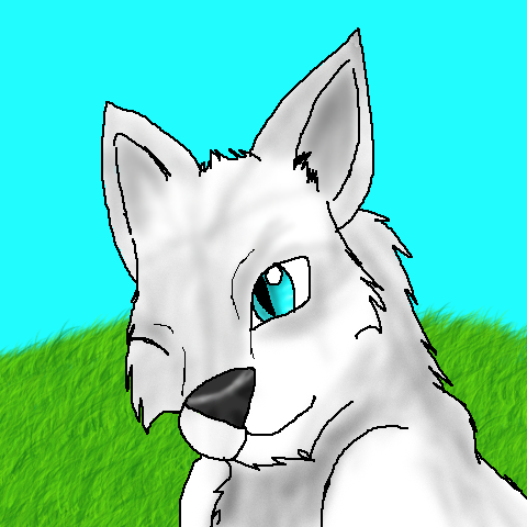Iceshadow