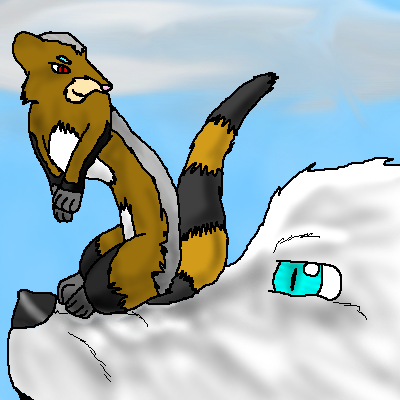 Boulder and Ice