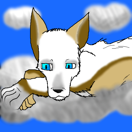 Staring Down From the Heavens