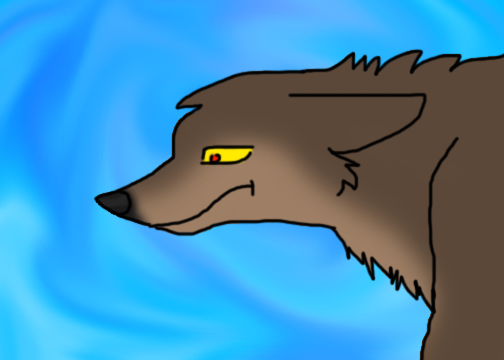 quick Baltoooo