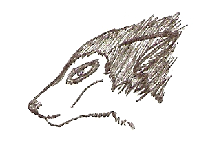 Quick Ink Steele