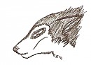Quick Ink Steele