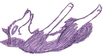 Falling Steele
