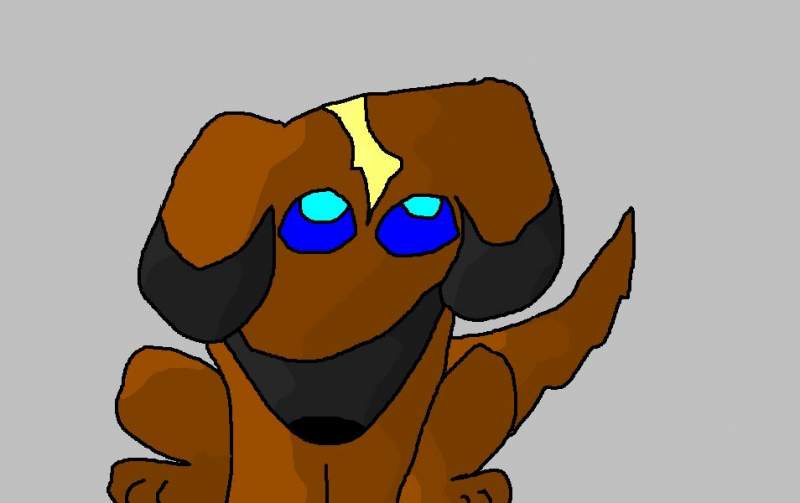 Shaded dog