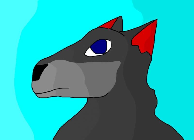 lone wolf
