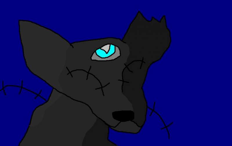 StitchWolf