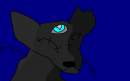 StitchWolf