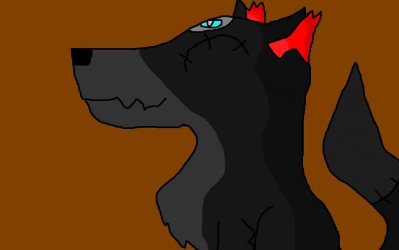 StitchWolf