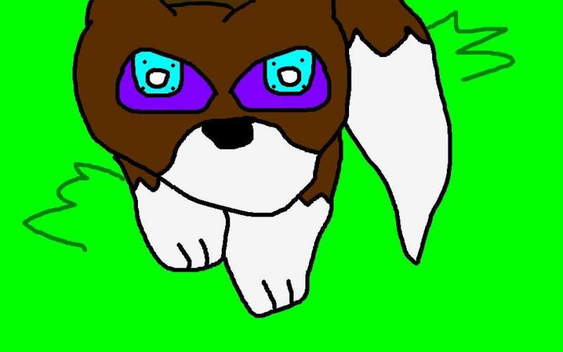 Cute wolf
