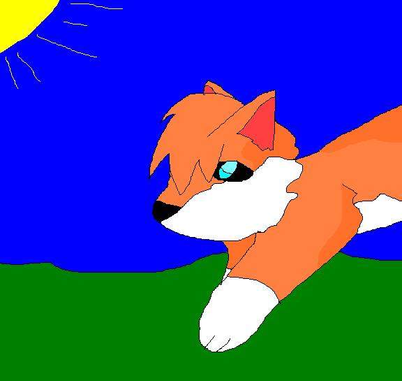 Cute fox