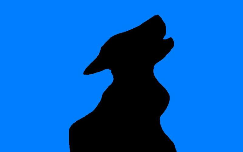 wolf shadow